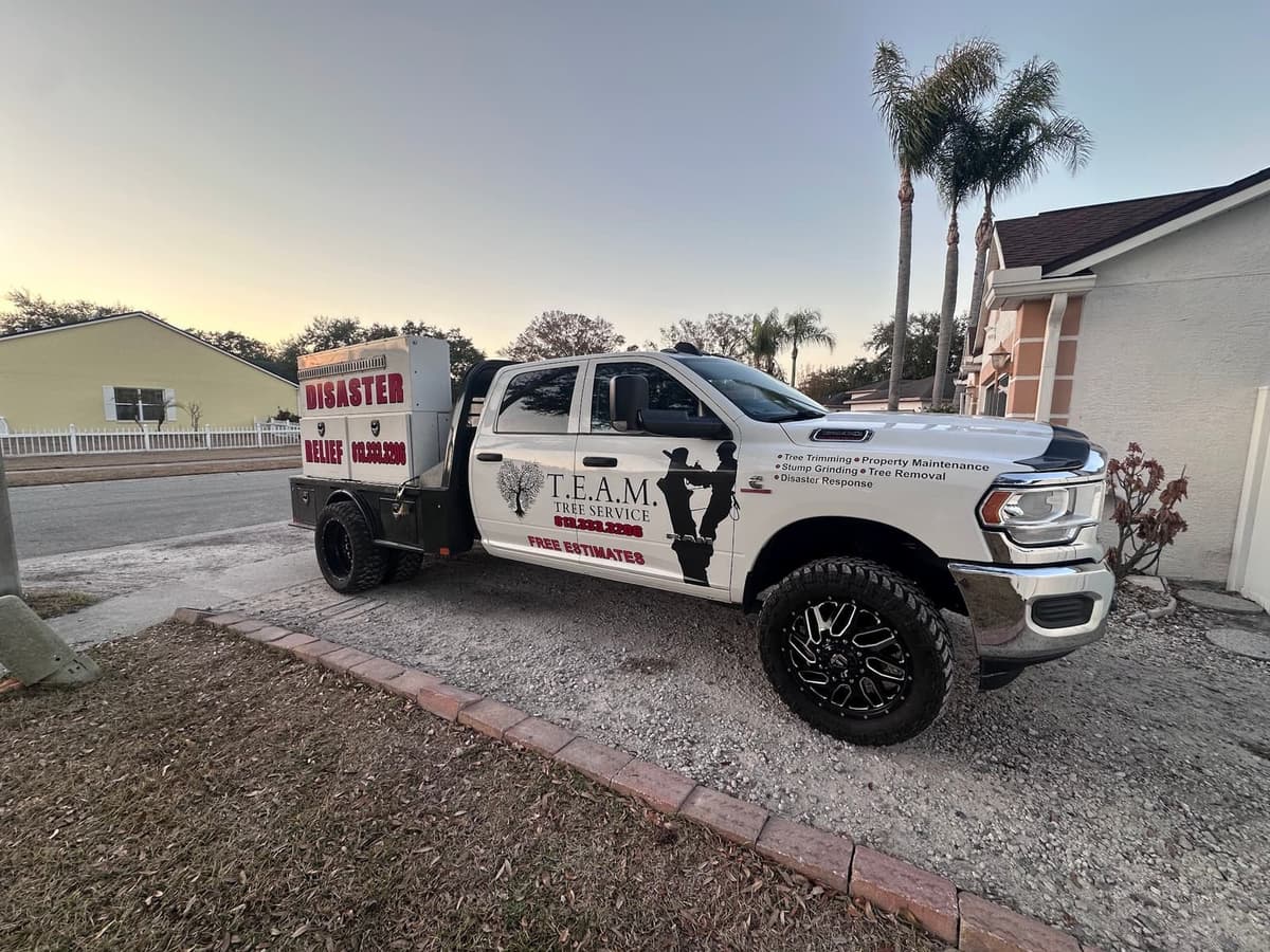 T.E.A.M. Tree Service branded work truck - Tampa Bay
