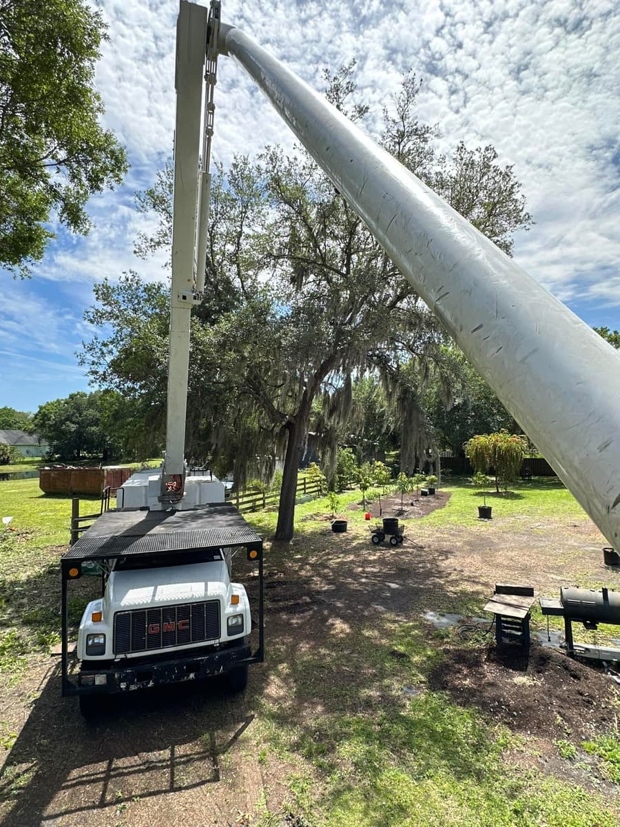 T.E.A.M. Tree Service cherry picker bucket truck in action