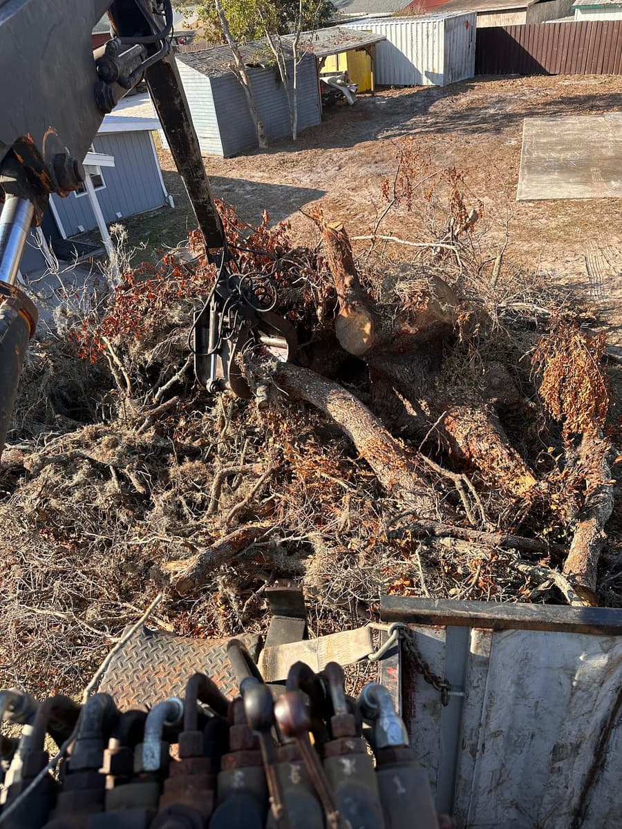 T.E.A.M. crew hauling tree debris in Tampa Bay