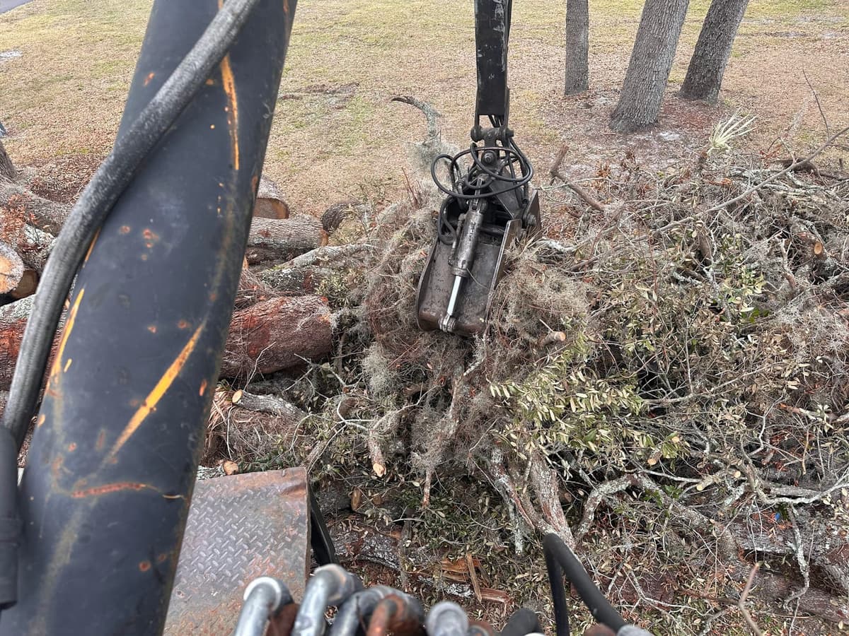 Grapple loader picking up oak limbs during a Tampa Bay debris cleanup