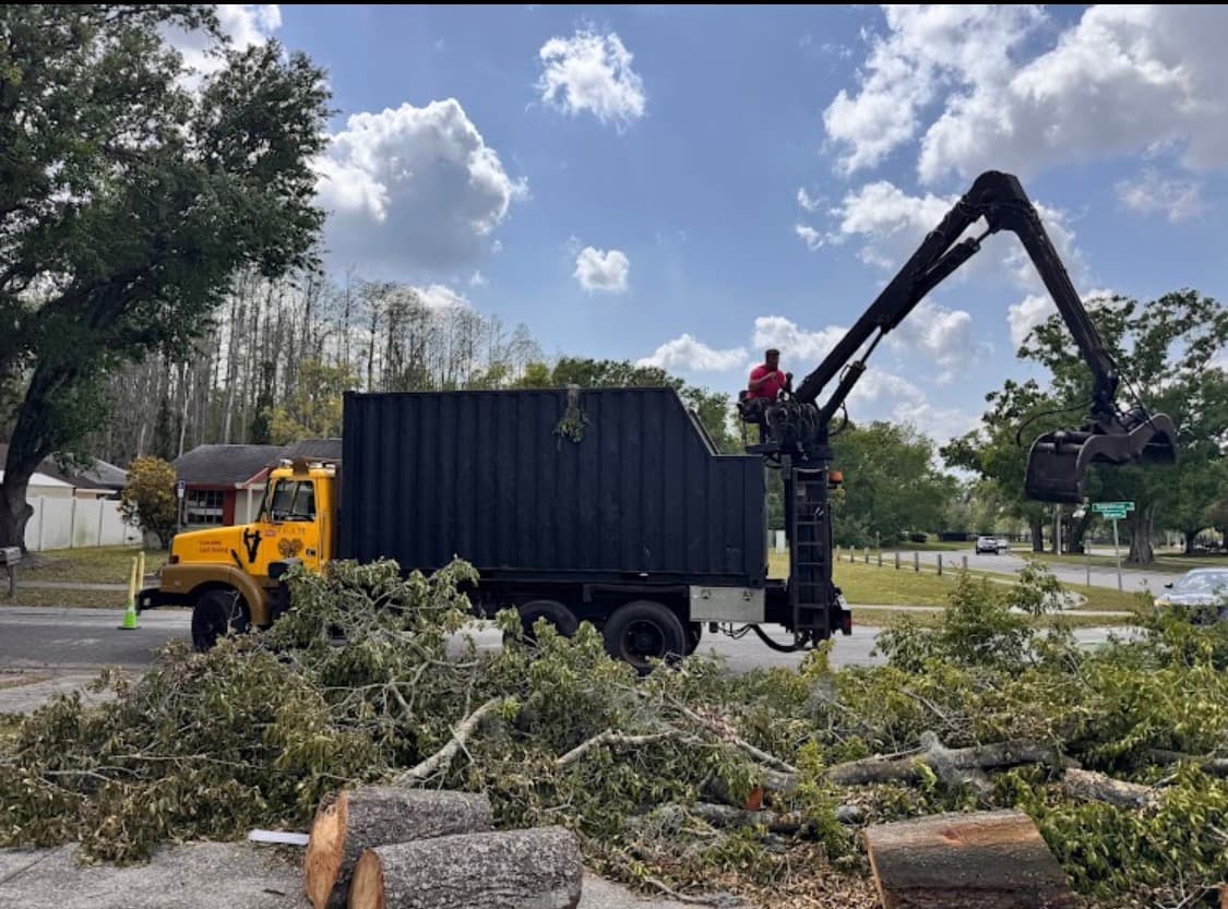 Debris cleanup and hauling Tampa
