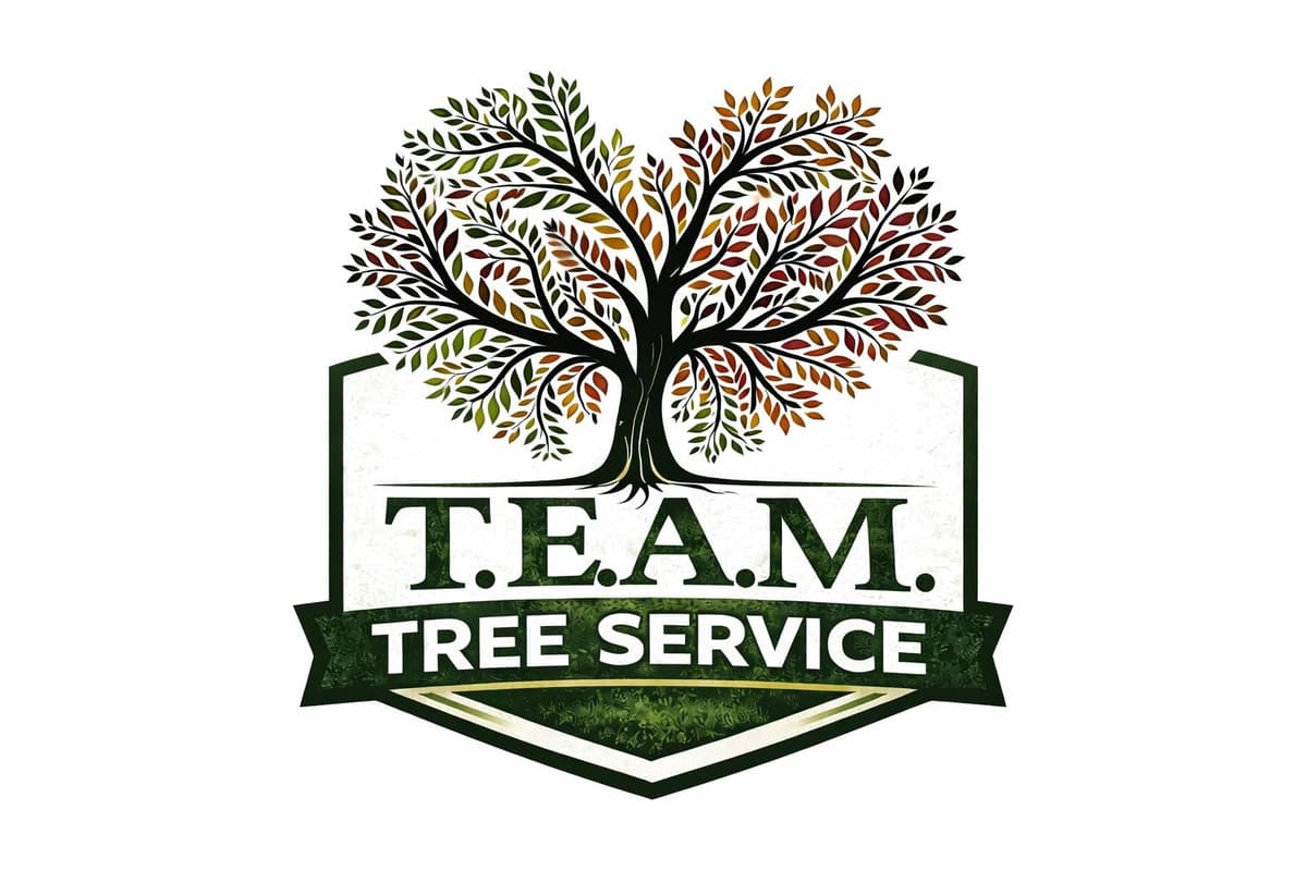 T.E.A.M. Tree Service
