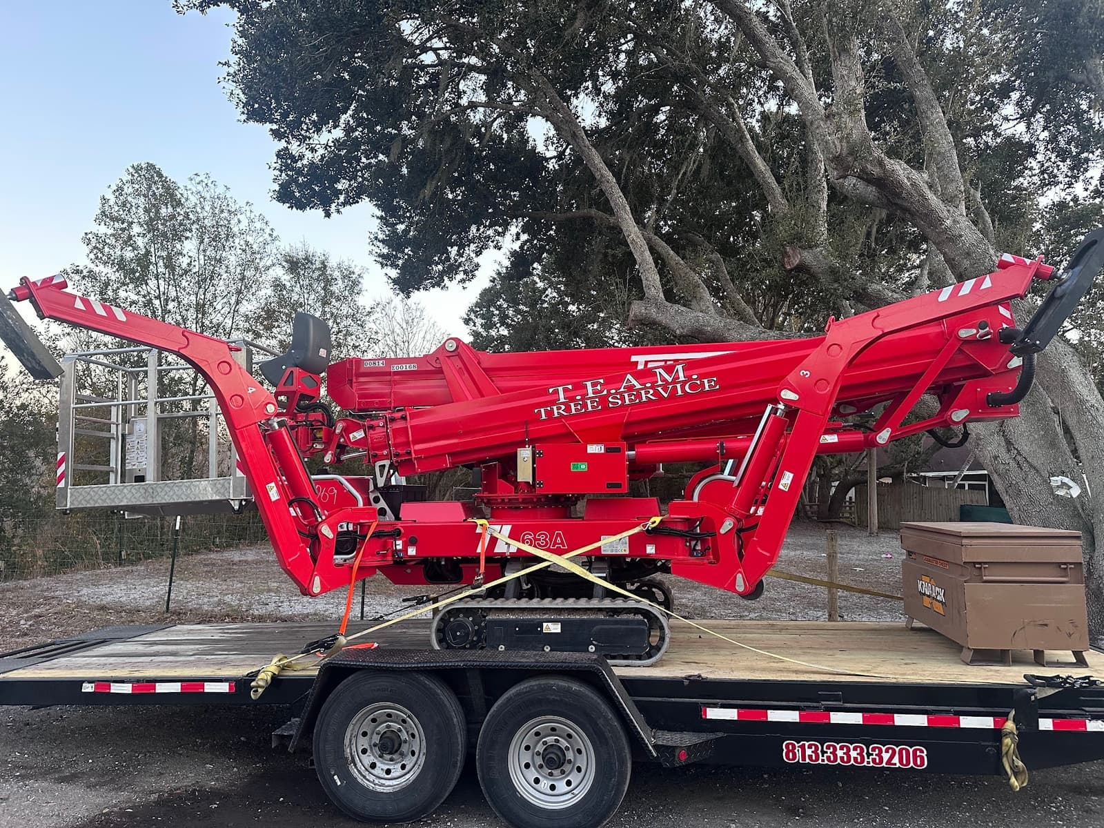 T.E.A.M. Tree Service lift positioned beside a mature tree