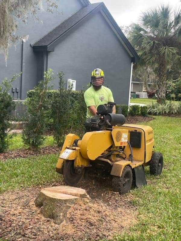 T.E.A.M. operator running stump grinder on residential property in Tampa Bay