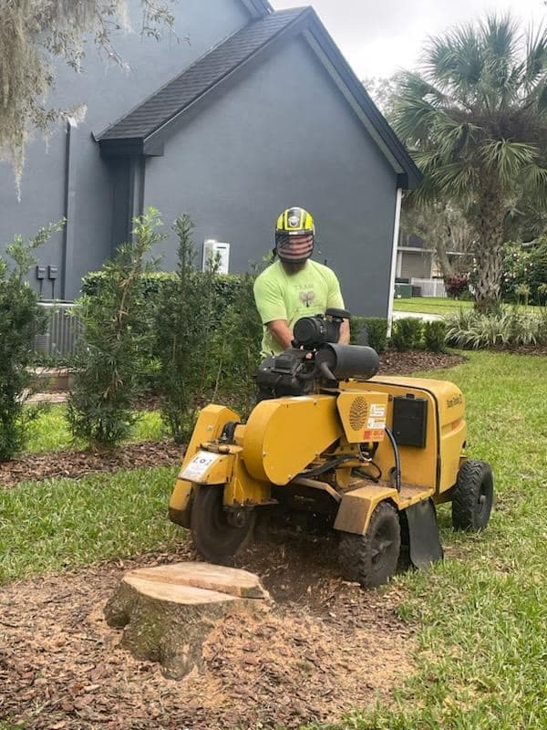 Professional stump grinder positioned at a residential work site