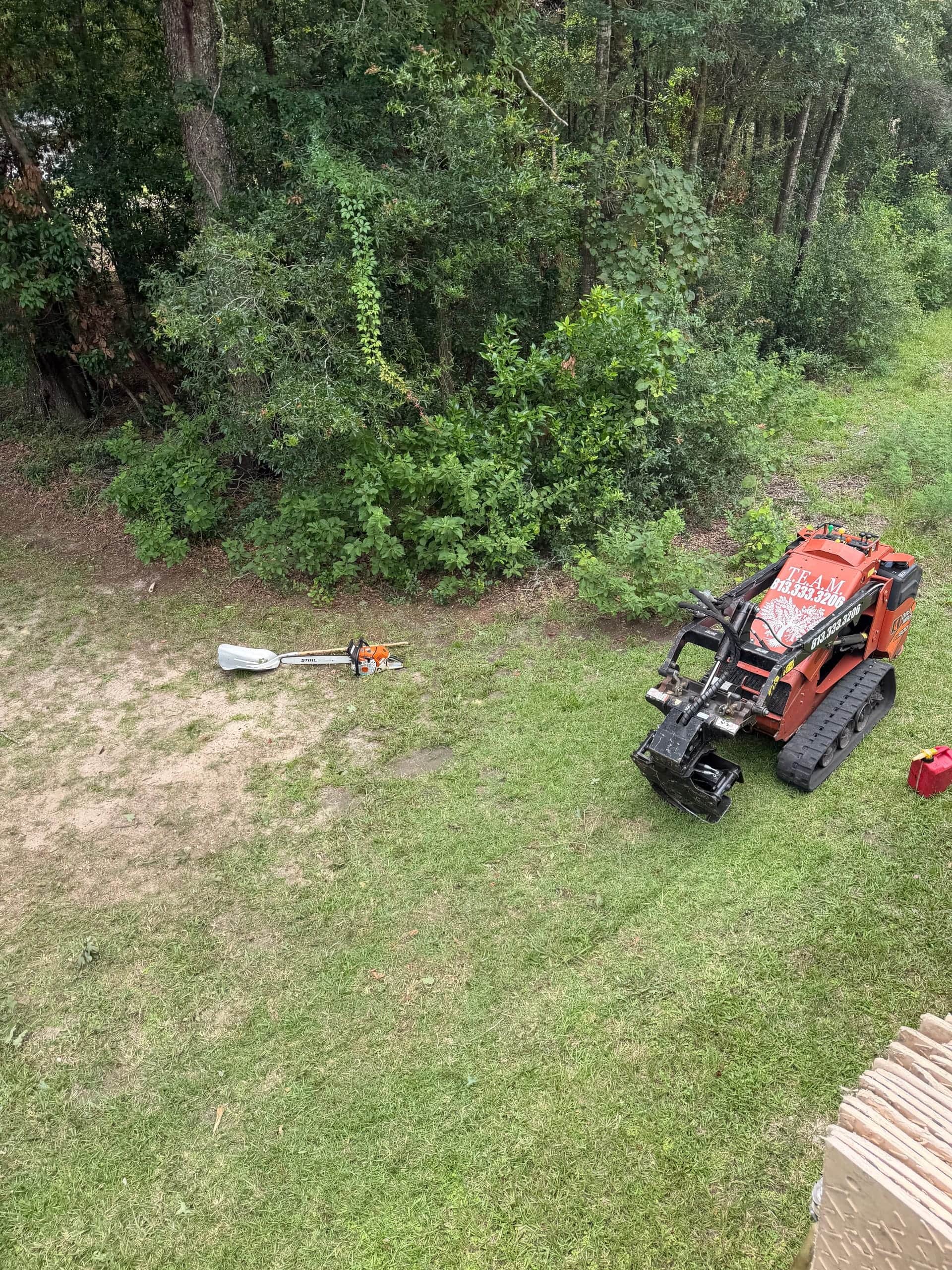 T.E.A.M. Tree Service tracked loader for tight-access lot clearing