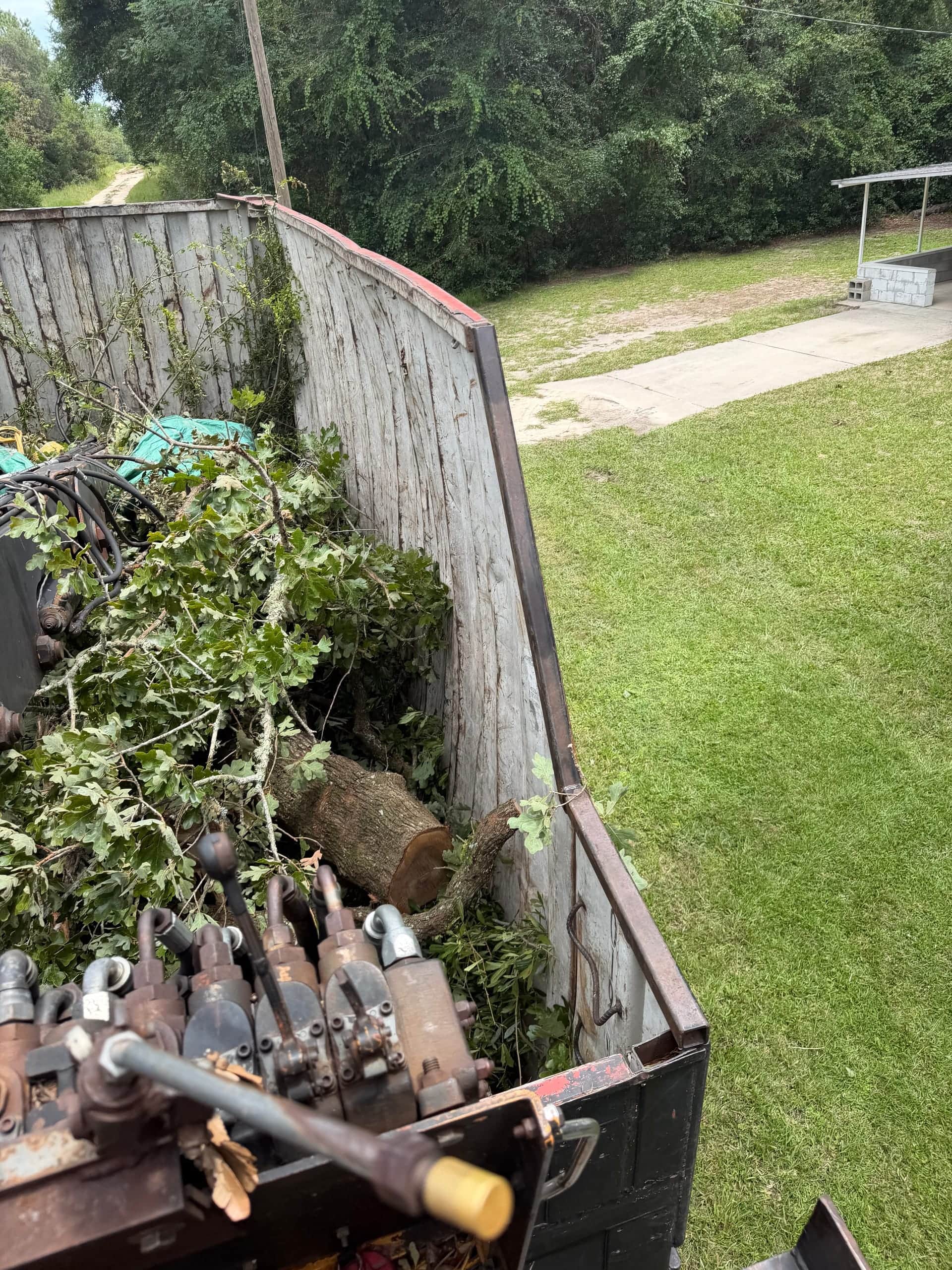 Dump body loaded with oak limbs while the surrounding residential lawn remains clear