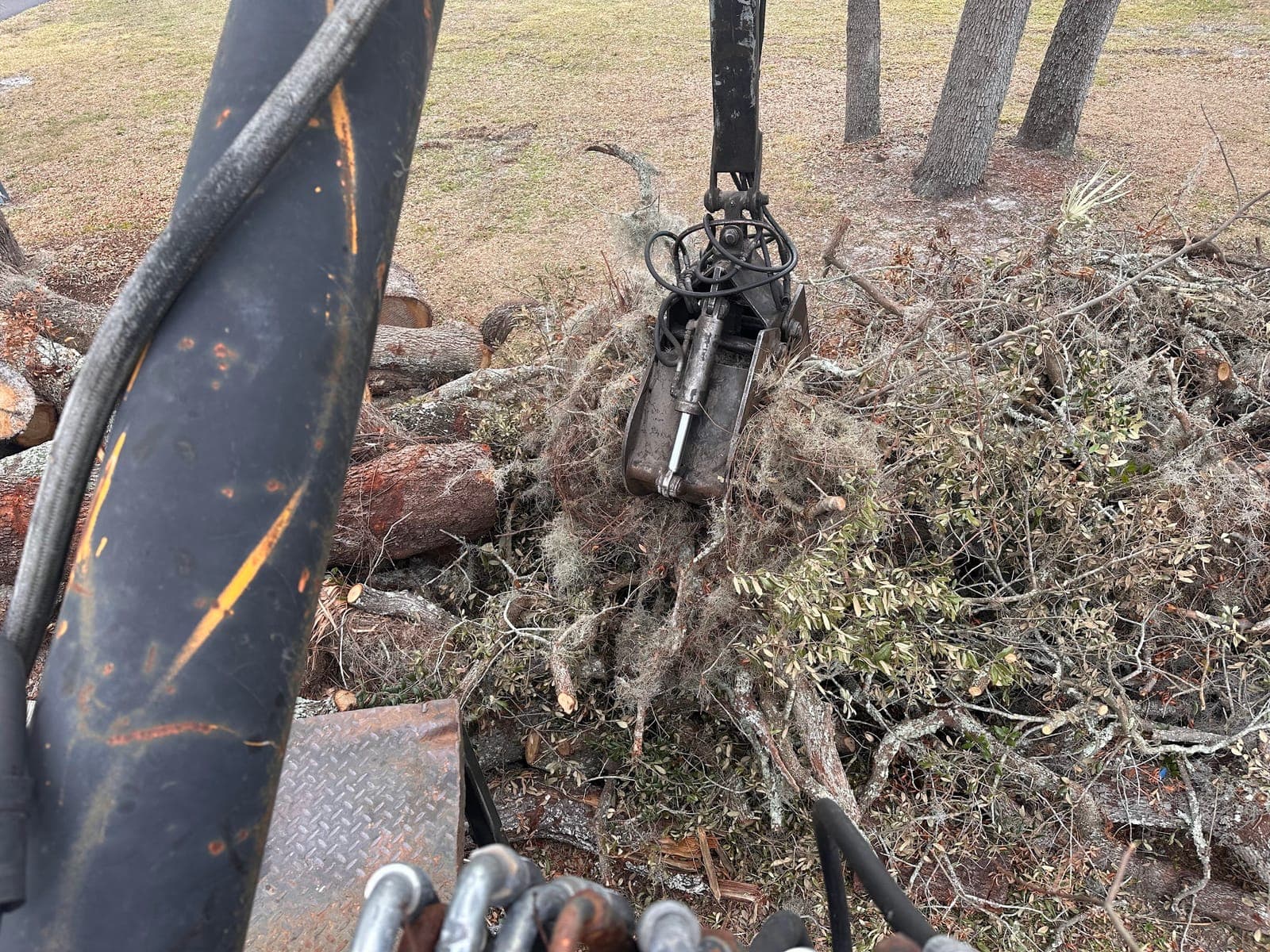 Grapple loader picking up oak limbs and brush during a T.E.A.M. debris cleanup in Tampa Bay
