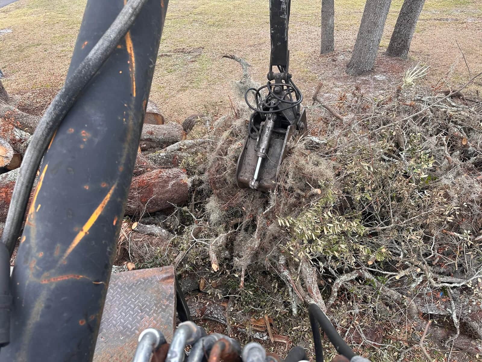 Grapple loader picking up oak limbs and brush during a T.E.A.M. debris cleanup in Tampa Bay