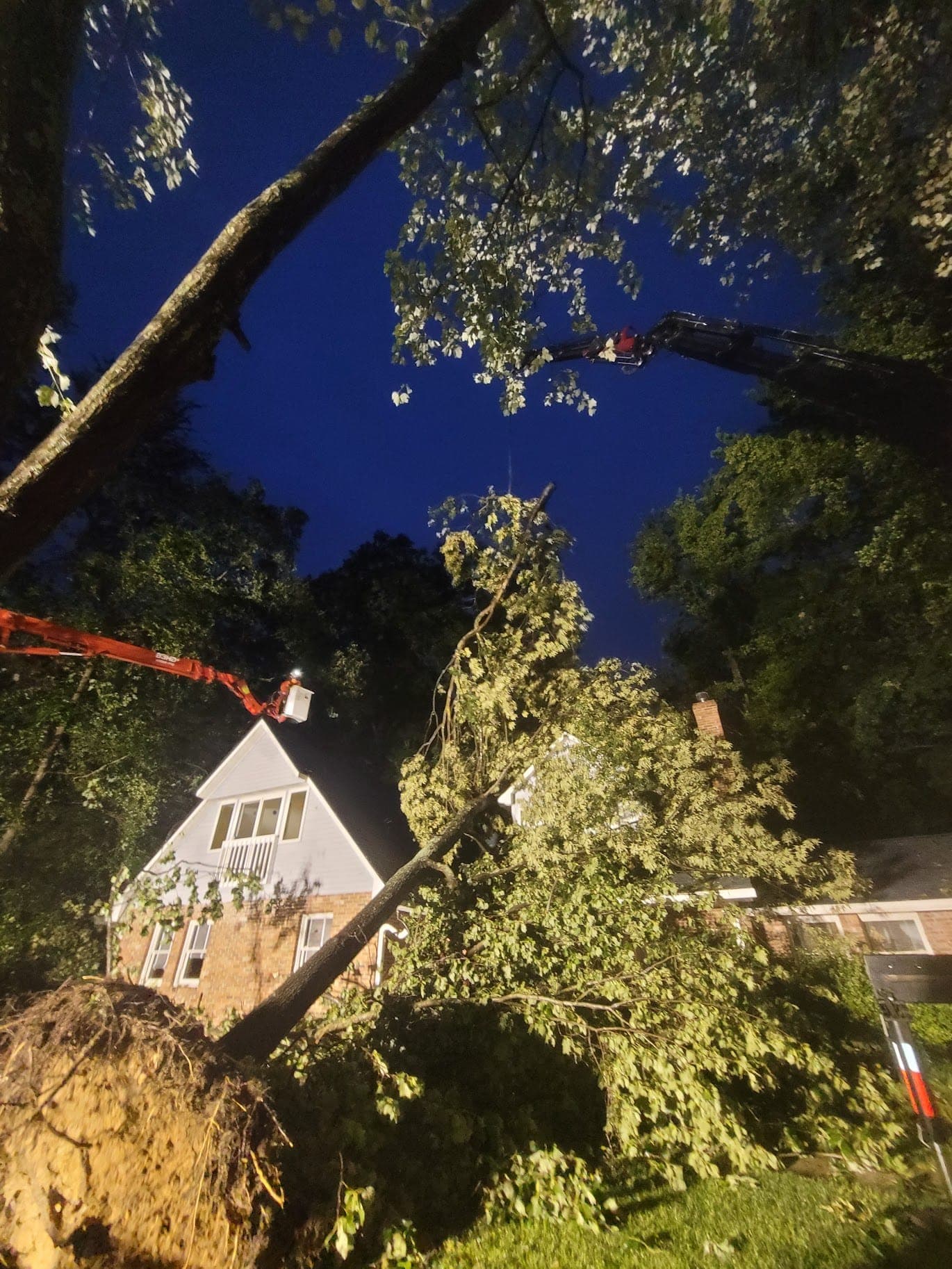 T.E.A.M. crane and bucket truck removing an uprooted tree from a Tampa Bay home at night