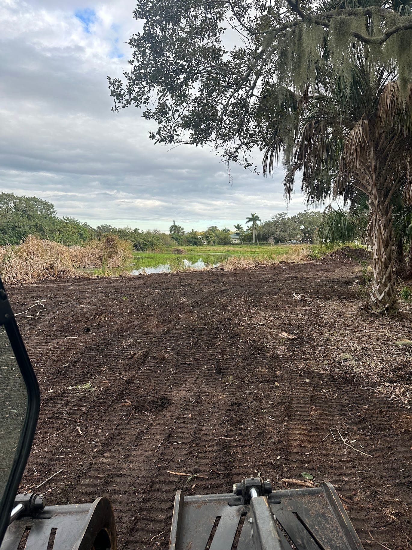 Open property after selective tree and brush clearing