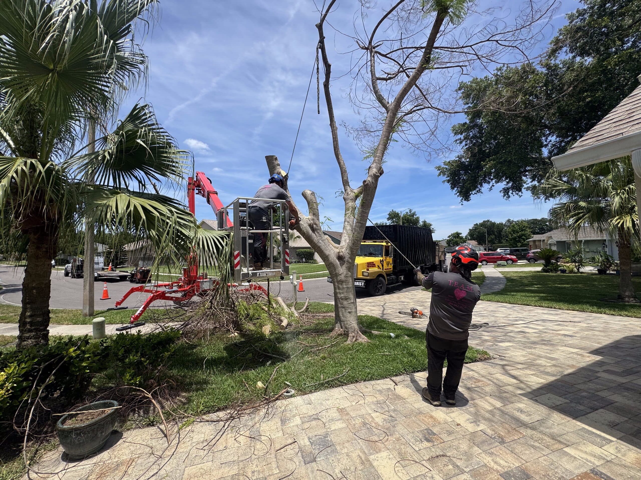 T.E.A.M. lift, grapple truck, and ground crew working at a residential tree job