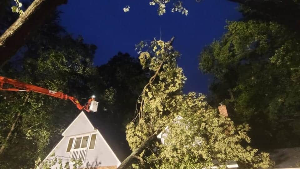 T.E.A.M. crane and bucket truck removing an uprooted tree from a Tampa Bay home at night