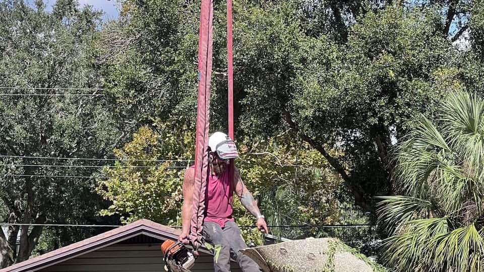 T.E.A.M. climber cutting a rigged trunk section above a Tampa roof