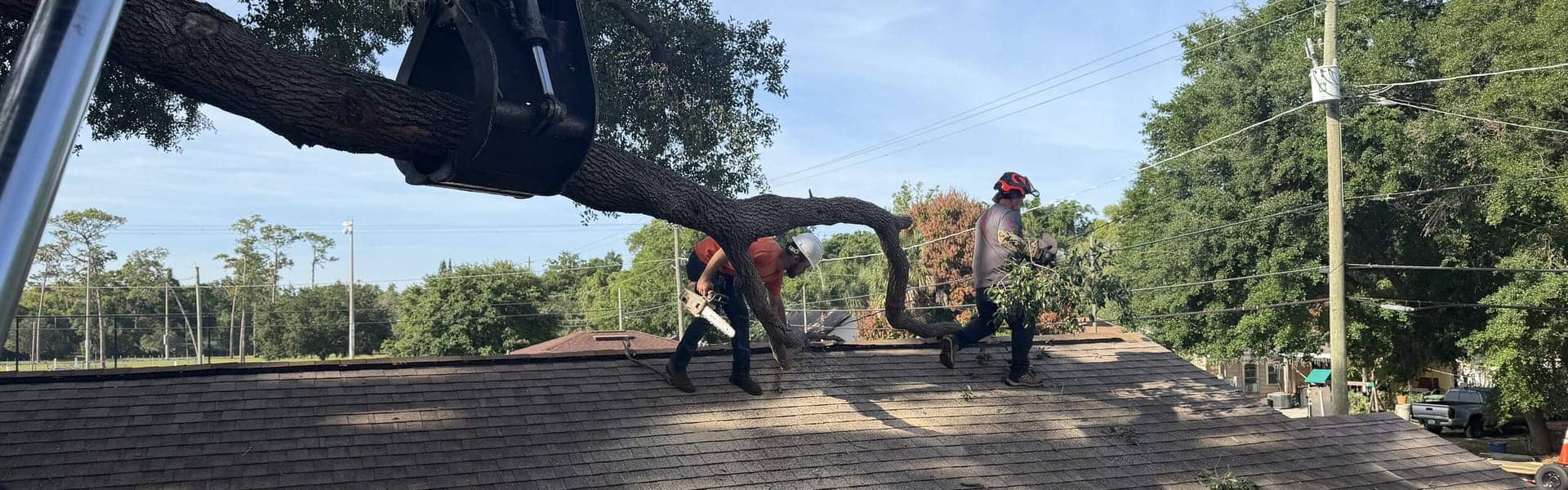 T.E.A.M. crew controlling a large limb above a Tampa roof