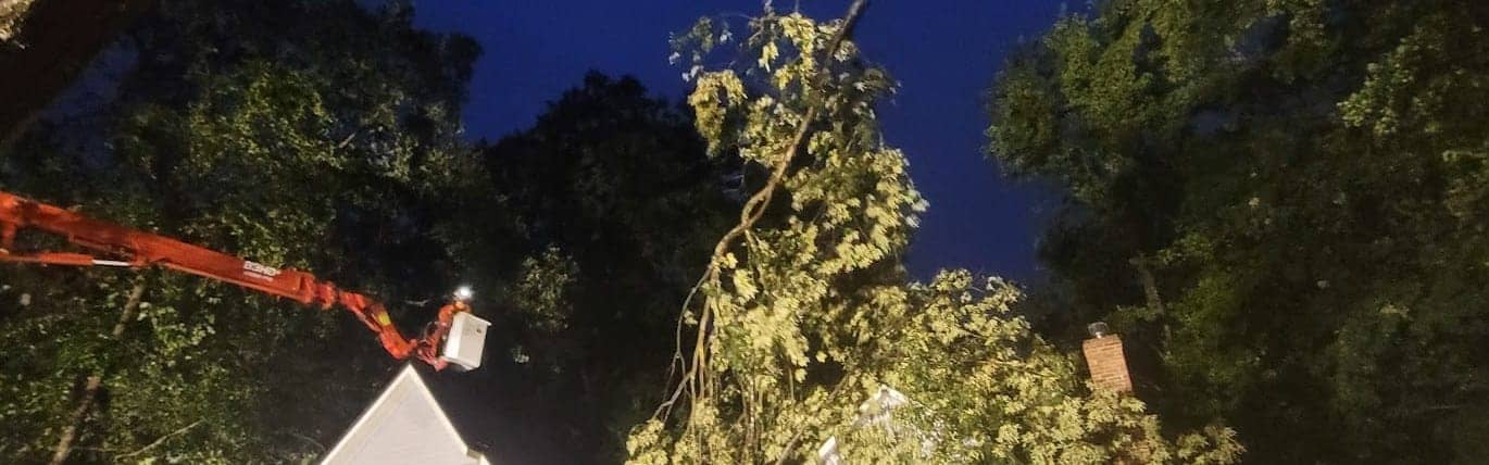 T.E.A.M. crane and bucket truck removing an uprooted tree from a Tampa Bay home at night