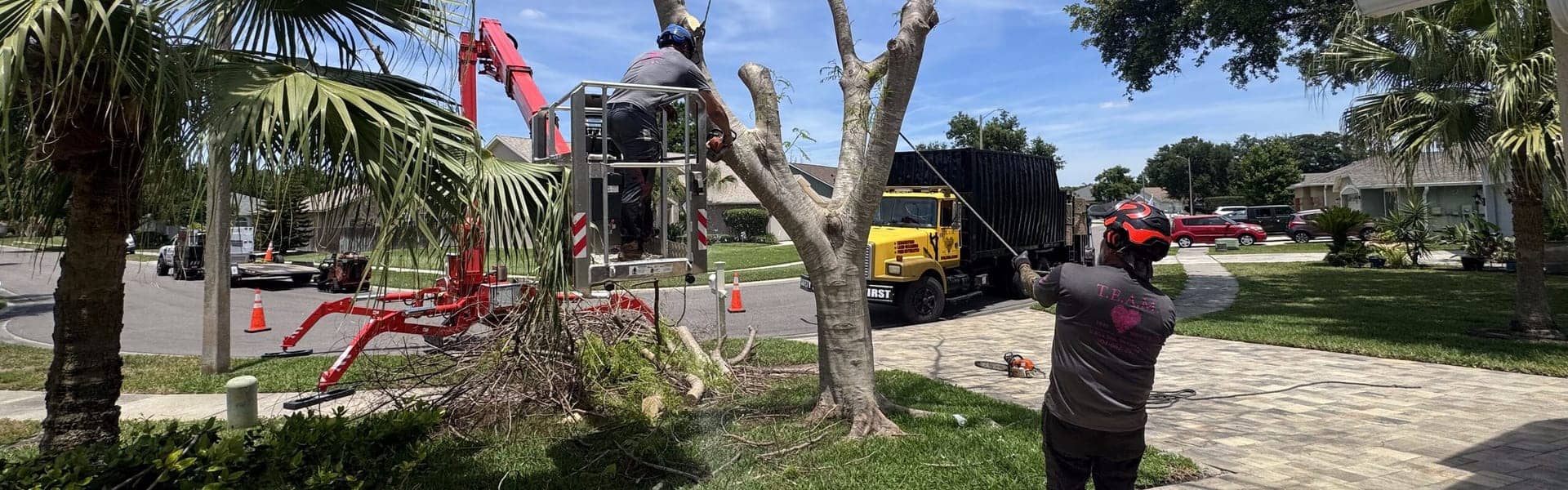T.E.A.M. lift, grapple truck, and ground crew working at a residential tree job