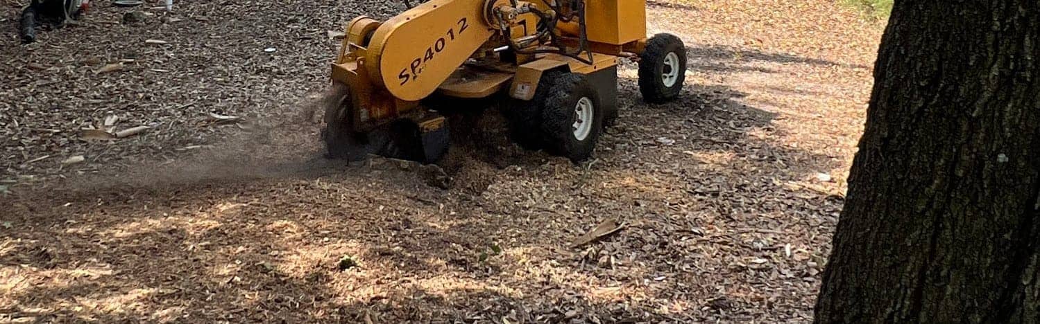 Crew member operating a stump grinder at a residential property
