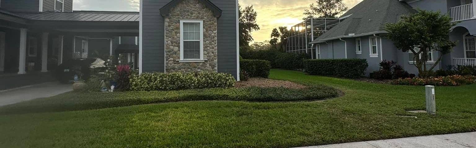 Clean residential yard after a completed tree removal