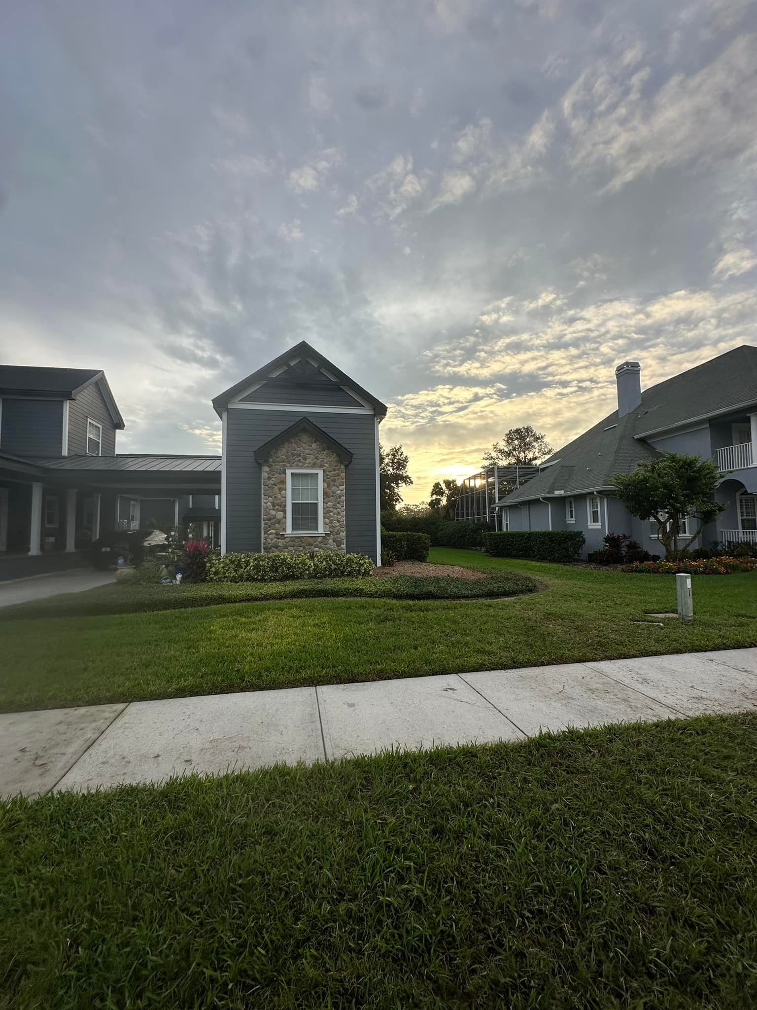 Tree removal completed - clean results in Tampa Bay